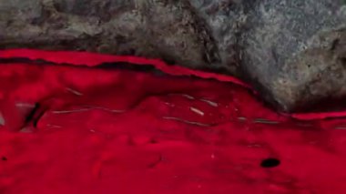 Valdivia Figürünün 3D Tarama Manipülasyonu Tehnique Envanter ve Teknikler için kullanılır Güney Amerika 'da İnka öncesi kültür Arkeoloji Çalışması ve Koruması