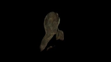 Valdivia Heykeli 3D Tarama Fotoğrafı Tehnique Envanter ve Teknikler İçin Eskimiş Güney Amerika 'daki İnka Kültürü Öncesi Arkeoloji Çalışması ve Koruması