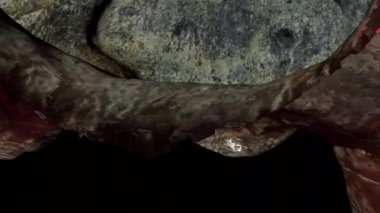 Valdivia Figürünün 3D Tarama Fotoğrafı Tehnique Envanter ve Teknikler İçin Aşınmış Güney Amerika 'daki İnka öncesi kültür Tamam Arkeoloji Araştırması ve Koruması