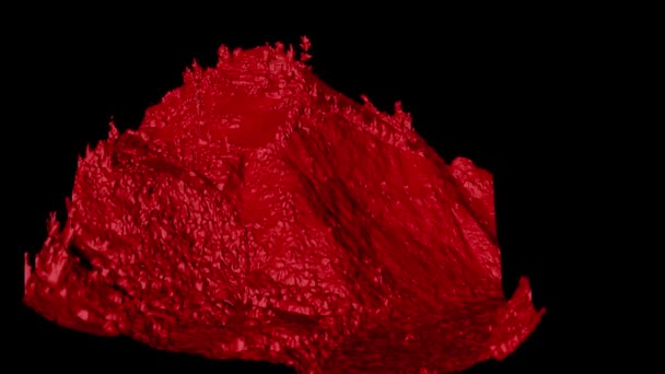 Modelo Digital Elevação Dem Exibição Imagem Ortorectificada Naturalmente Complexo Área — Vídeo de Stock