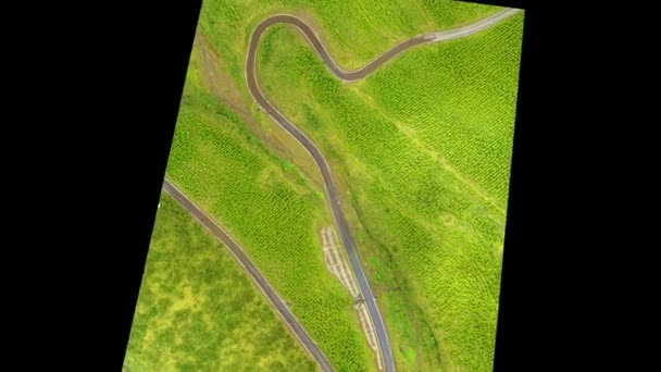 利用无人机进行高空林地勘测 三维建模二维数字高程模型或Dem变换为科学动画 — 图库视频影像
