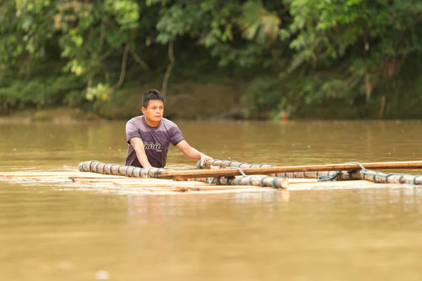 Timber Transportation — Stock Photo, Image