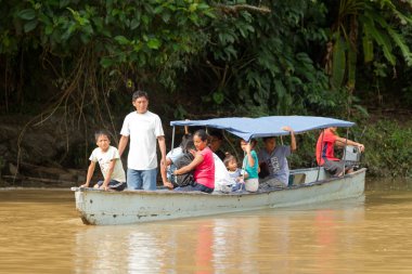 Amazonia taşımacılığında