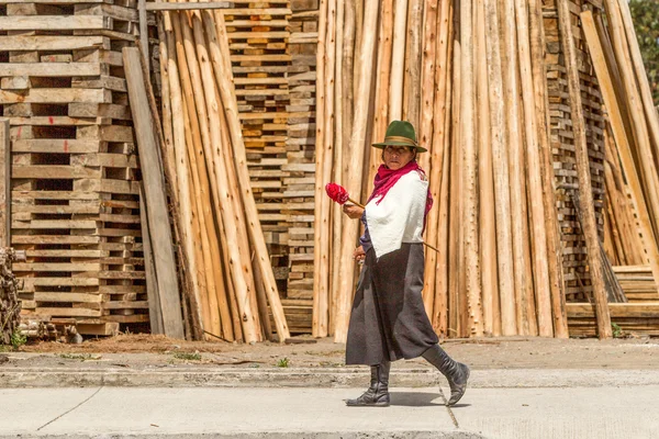 Quechua Peasant Working On The Go — Stockfoto
