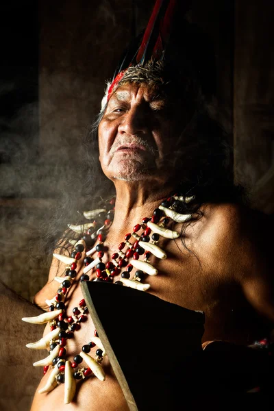 Портрет амазонского шамана — стоковое фото