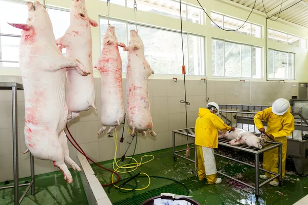 Werknemers en opgehangen dier op de productielijn — Stockfoto