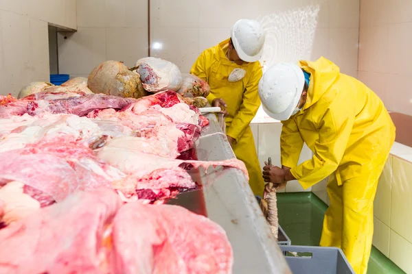 Trabalhadores do matadouro na sala de lavagem de órgãos — Fotografia de Stock