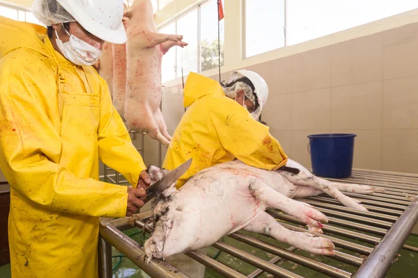 Butchers Performing Hair Removal From Pork Carcass — Stock Photo, Image