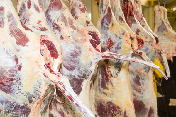 Vee vlees productie fabriek interieur — Stockfoto