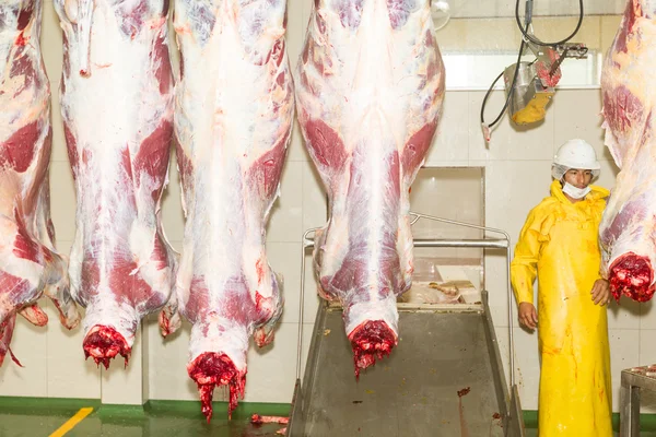 Cena do matadouro com açougueiro e animais mortos — Fotografia de Stock