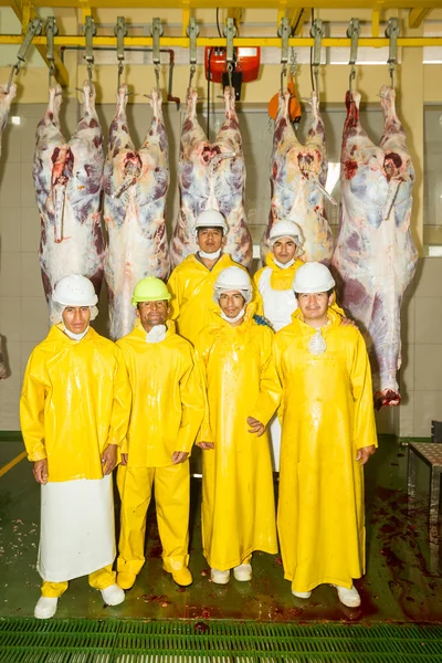Team Of Workers In A Medium Size Slaughterhouse — Stock Photo, Image