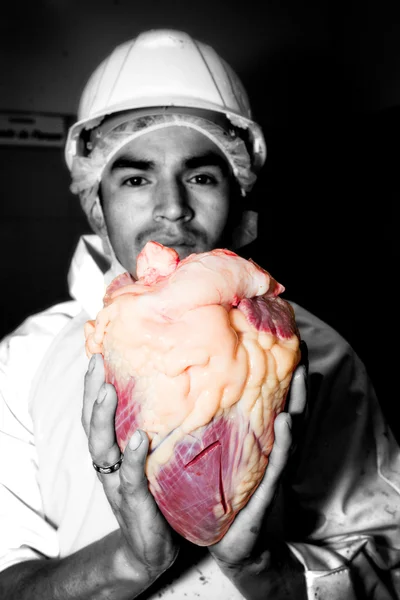 Slager bedrijf een vee hart In zijn handen — Stockfoto