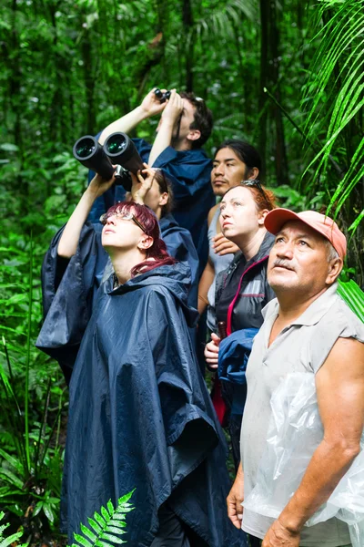 Kelompok Wisatawan Observasi Margasatwa di Amazonia — Stok Foto