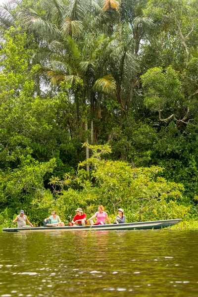 Tät djungel vegetation — Stockfoto