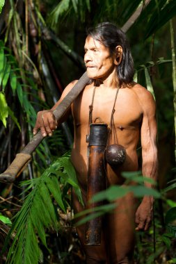 Serano yerli avcı Amazon Havzası