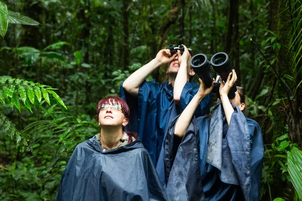 Dürbün ile kuşlar için arayan insanlar