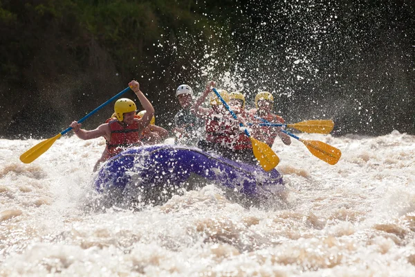 Whitewater Nehri Rafting