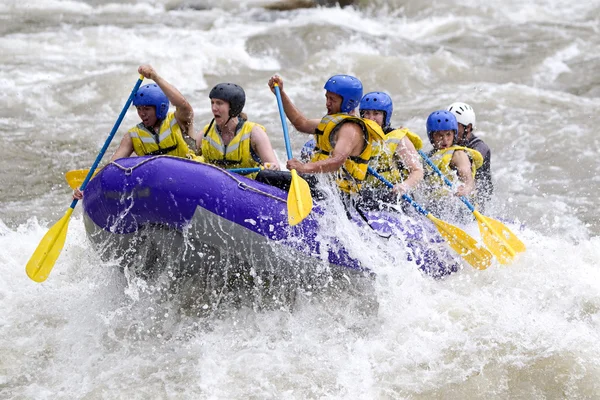 Whitewater Nehri Rafting