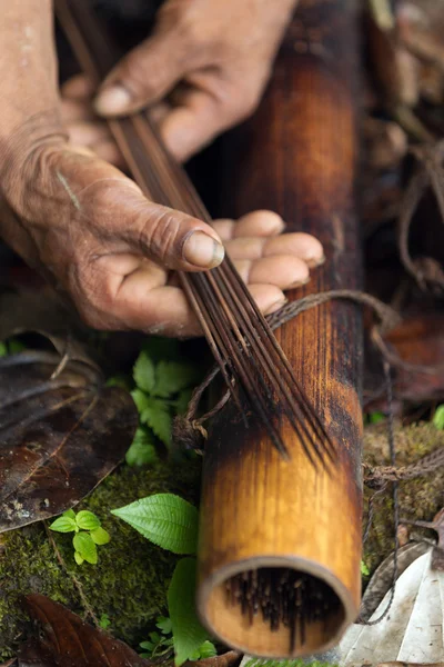 Verkliga Amazonas dart — Stockfoto