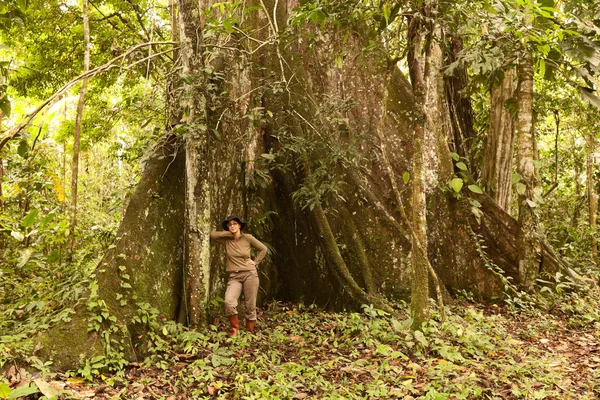 Biólogo junto a un árbol de Kapok — Foto de Stock