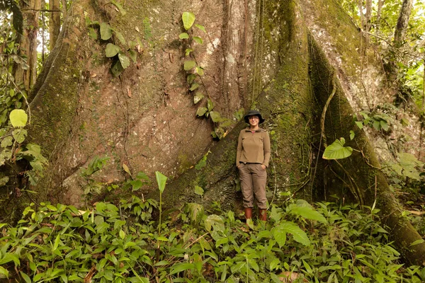 Biologa donna nido per un kapok albero — Foto Stock