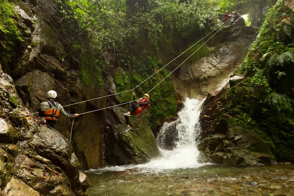 Kanyoning Zip hattını — Stok fotoğraf