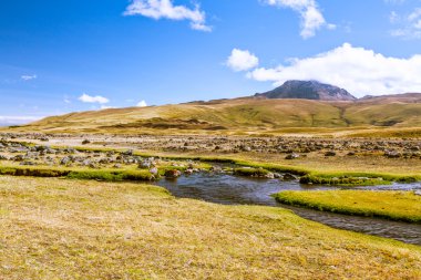Cotopaxi Volkanı Milli Parkı