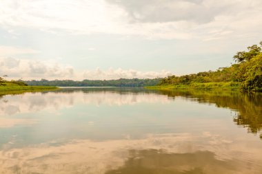 Limoncocha Lagoon In Ecuador clipart