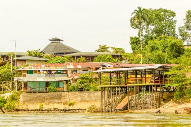 Amazon kırsal yaşam