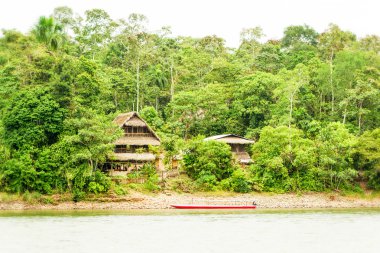 Jungle Lodge Misahualli nehir Ekvator üzerinde