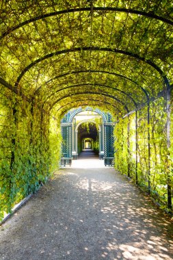 Schonbrunn Guard Avusturya