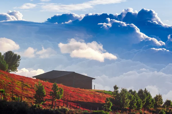 Ecuador-Auswanderer leben — Stockfoto