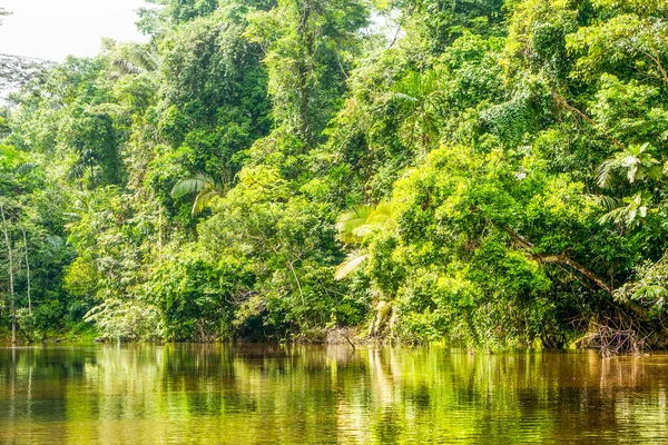 Fiume Cuyabeno Ecuador — Foto Stock