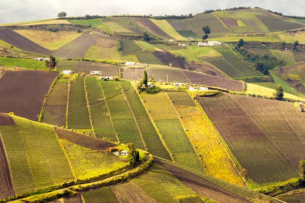 Vale íngreme agricultura — Fotografia de Stock