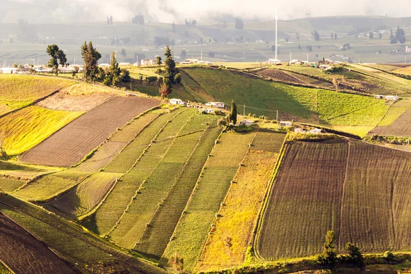 Ecuador hochgelegene landwirtschaft — Stockfoto