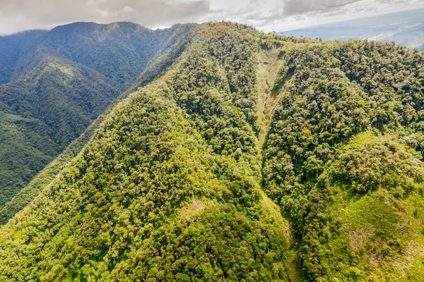 Llanganates National Park Peak — Stockfoto