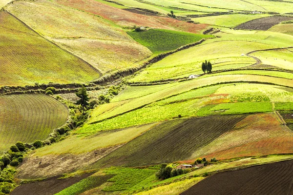 Terras agrícolas em andes — Fotografia de Stock