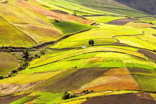 Ecuador Tierras agrícolas de gran altitud —  Fotos de Stock