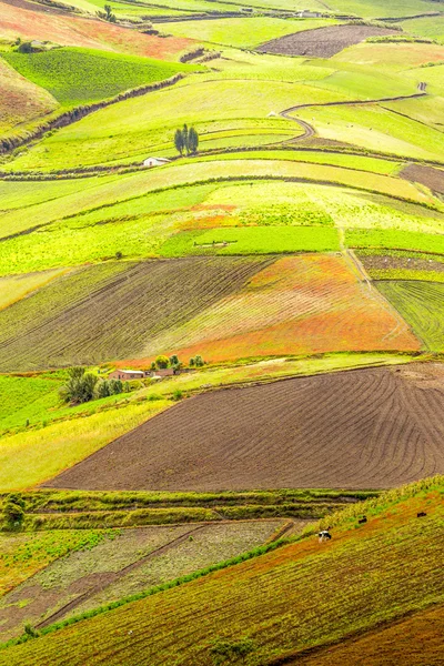 Terras agrícolas em andes — Fotografia de Stock