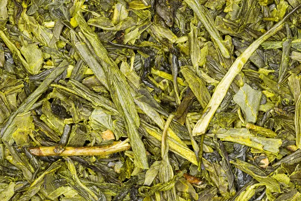 緑茶日本煎茶クローズ アップ — ストック写真