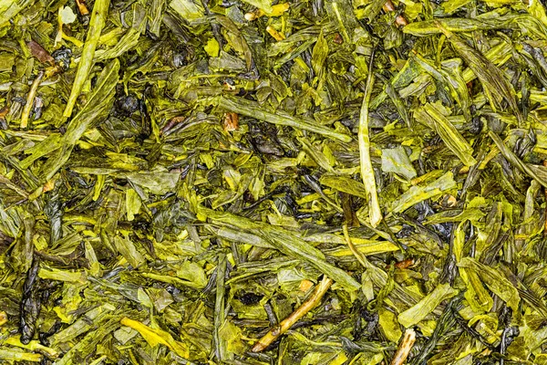 緑茶日本煎茶 — ストック写真