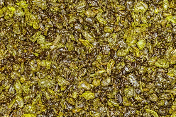 Thé vert poudre à canon — Photo