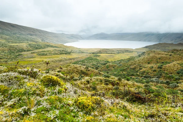 Pisayambo Man Made Dam In Ecuadorian Andes — Stock Photo, Image