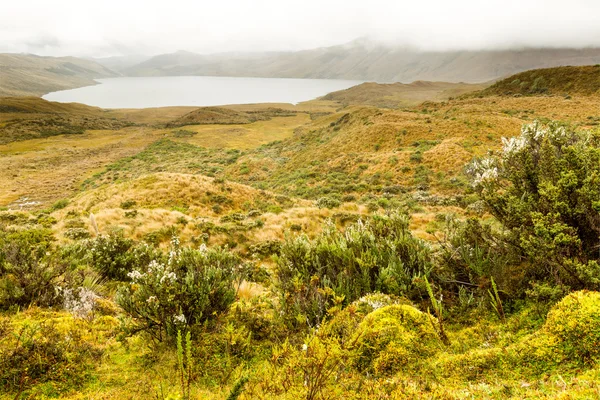 Pisayambo Man Made Dam In Ecuadorian Andes — Stock Photo, Image