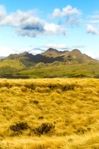 Pasochoa vulkan in ecuador — Stockfoto