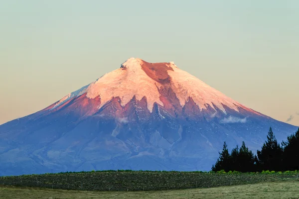 Ισημερινός ηφαίστειο Κοτοπαξί στο ηλιοβασίλεμα — Φωτογραφία Αρχείου