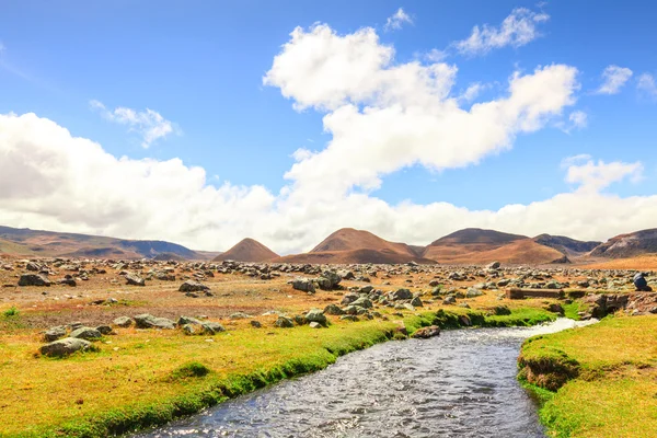 Parque Nacional Volcán Cotopaxi — Foto de Stock