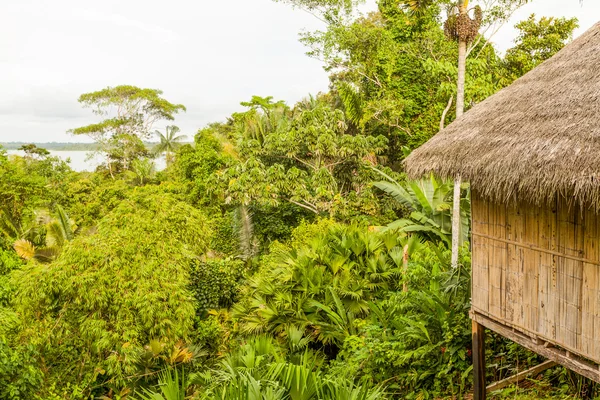 Eenvoudige Amazone Hut — Stockfoto