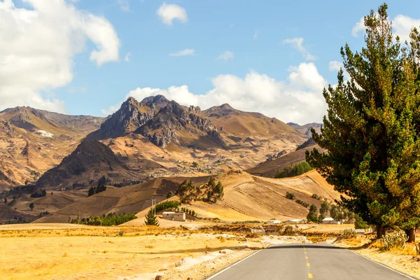 Pan American Road In Ecuador — Stock Photo, Image