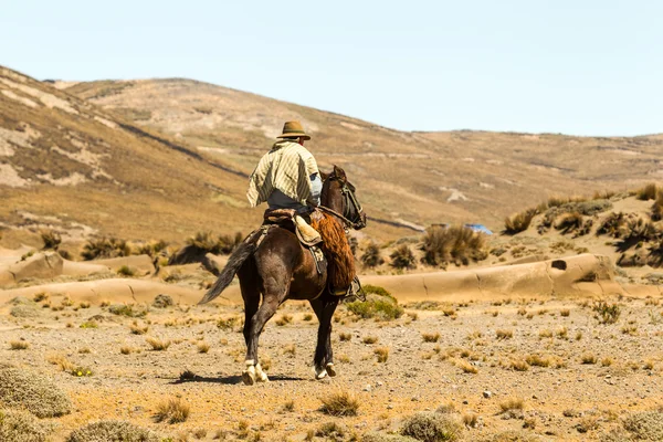 Ranger v Ekvádoru Chimborazo národní Park — Stock fotografie